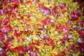 A sacred water made of fresh water spreading by flower petals, used for pouring on the older`s hand during Thai New Year Royalty Free Stock Photo