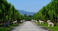 Sacred Way to the Ming Tombs, Beijing, China Royalty Free Stock Photo