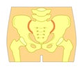 Sacroiliac Joint Pain