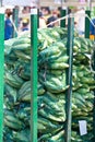 Sacs of corn ready for sale at the market Royalty Free Stock Photo