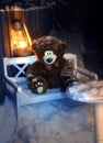 Sad abandoned bear. Forgotten toys. Thrown bears.Frozen bears.