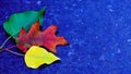 Sad autumn leaf on dark marble Royalty Free Stock Photo