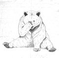 Sad bear. Sketch. Handmade. Royalty Free Stock Photo