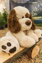 Sad big stuffed white dog doll on a wooden bench