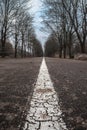 Sad bike path Royalty Free Stock Photo