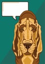 Sad bloodhound with a speech bubble Royalty Free Stock Photo