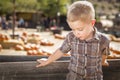 Sad Boy at Pumpkin Patch Farm Standing Against Wood Wagon Royalty Free Stock Photo