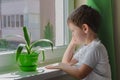 Sad boy wants to walk on the street, the child sits near the window and looks at him sadly. Quarantine self-isolation due to Royalty Free Stock Photo