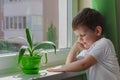 Sad boy wants to walk on the street, the child sits near the window and looks at him sadly. Quarantine self-isolation due to Royalty Free Stock Photo