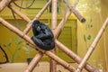 Sad caged monkey Royalty Free Stock Photo