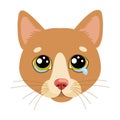 Sad Cat Face Head Vector Icon. Illustration Of Cute Sad Animal. Drear Crying Cat Vector.