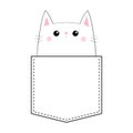 Sad cat in the pocket. Doodle linear sketch. Pink cheeks. Cute cartoon animals. Kitten kitty character. T-shirt design. Dash line.