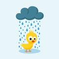 Sad Chick in the Rain on Friday the 13th.