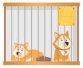 Sad corgis in shelter cage. Cartoon homeless dogs