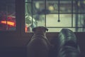 Sad cute pug dog puppy is sit and waiting owner at the windows for come back home from working to bring outside for walking and Royalty Free Stock Photo