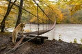 Sad Dog On The Bridge. Dog That Looks Like A Labrador, Stands On The Edge Of Iron Suspension Bridge Over Mountain River