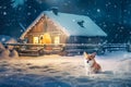 Sad dog is outside on snowy Christmas landscape background with cozy home Royalty Free Stock Photo
