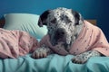 sad dog in a pijama and nightcap having insomnia, created with Generative AI technology