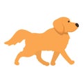 Sad dog retriever icon cartoon vector. Golden puppy