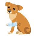 Sad Dog Story. Vector Illustration Of Cute Sad Dog Or Puppy. Sick Dog With Splinting Leg. Veterinary Theme.
