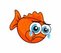 Sad Golden Fish Royalty Free Stock Photo