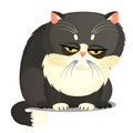 Sad fat gray cat with yellow eyes isolated on a white background. Funny animal. Vector cartoon close-up illustration. Royalty Free Stock Photo