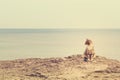 Sad homeless cat sitting on the beach. Royalty Free Stock Photo