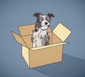 Sad homeless street dog alone in box color