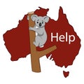 Sad koala sits on a tree against the backdrop of Australia.