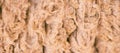 Sad kulunda breeding sheep. Muzzle sharing. Meat and fur farm production. Animal wool. Closeup texture pattern Royalty Free Stock Photo