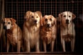 Large dogs caught in cage. Generative AI