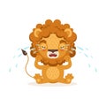 Sad little baby lion cartoon character sitting on the floor and crying. Safari animal with lush mane weeps. Vector in