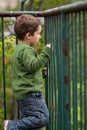 Sad little boy Royalty Free Stock Photo