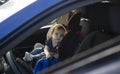 Sad little child girl alone in the car waiting for the parent strapped in a child car seat. It is dangerous to leave