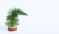 little Christmas tree on a white background. Bad mood concept Royalty Free Stock Photo