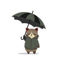 Sad lonely cat under an umbrella gray illustration flat design Royalty Free Stock Photo