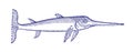 Sad looking swordfish in profile view. Illustration