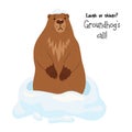 Sad marmot animal in snow. Greeting card for Holiday Groundhog Day with cool slogan. February 2. Vector illustration.