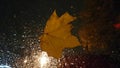 Sad melancholic frame: on the windshield of the car fallen maple leaf and drops after the rain. Bad autumn weather