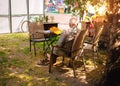 Sad old man sitting on a chair on a lonely yard under a tree , view from the back.