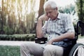 Sad old man in a wheelchair on the park Royalty Free Stock Photo