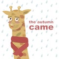 Sad orange cartoon giraffe in autumn leaves and a red scarf on the background of raindrops with an inscription autumn came a vecto