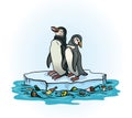 Penguins, melting ice and polluted sea
