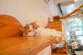 Pensive narrow-eyed cat sits lies on a shelf