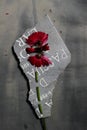 Sad photo of a cut in pieces dark pink Garbera flower on a piece of gravestone Royalty Free Stock Photo