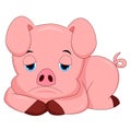Sad pig cartoon isolated on white background Royalty Free Stock Photo