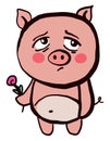Sad pig with flower, illustration, vector Royalty Free Stock Photo