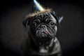 Sad pug dog in birthday hat Royalty Free Stock Photo