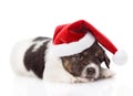 Sad puppy with santa hat. isolated on white background Royalty Free Stock Photo