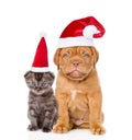 Sad puppy and small kitten in red santa hats sitting together. i Royalty Free Stock Photo